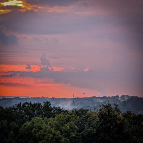 Domblick