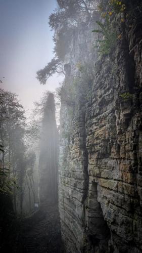 Wolfsschlucht im Nebel