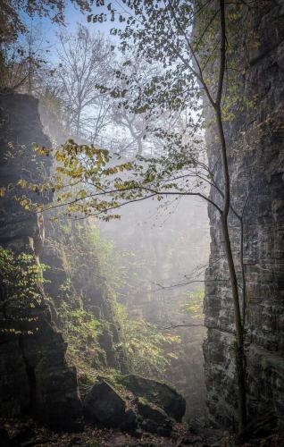Wolfsschlucht im Nebel