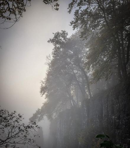 Wolfsschlucht im Nebel