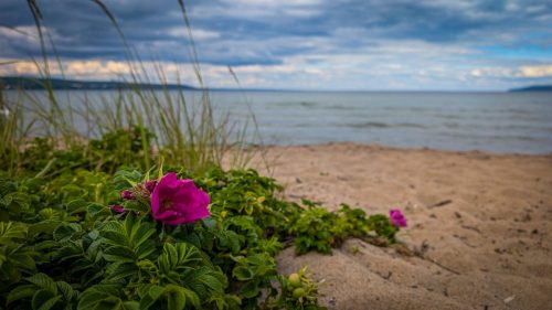 Mit eigenem Stadtstrand
