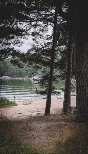 Strand Nummer 2 - Ein Traum