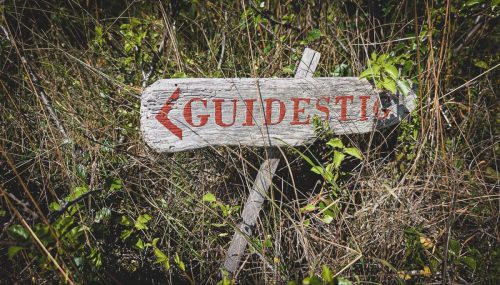 Wir gehen auf eine geführte Tour über die Insel - die meiste Zeit auf Schwedisch, wir bekommen die wichtigsten Fakten auf Englisch nachberichtet