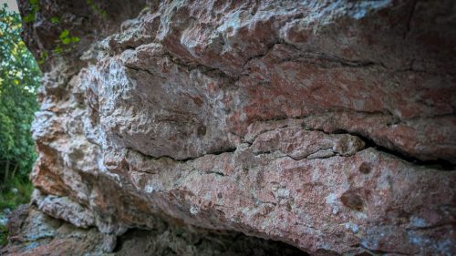 Und der noch eine Besonderheit aufweist: Seelilien (aus grauer Vorzeit) haben den Kalkstein (normaler weiß) rot gefärbt