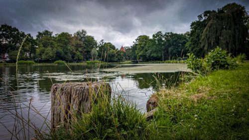 Krähenteich