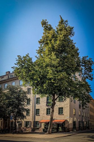 Södermalm