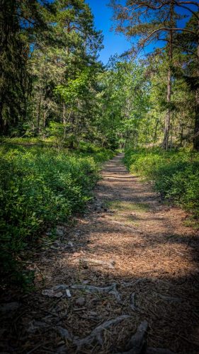 Wanderweg
