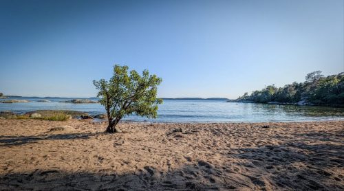Ein letzter Besuch am Strand - ein erstes Bad in der 16 Grad kalten Ostsee