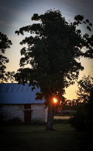 Sonnenuntergang 