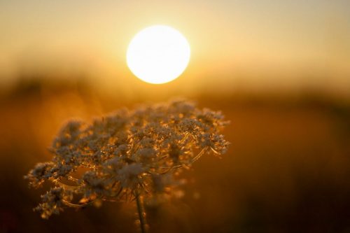 Zur goldenen Stunde