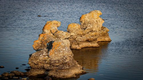 Naturschutzgebiet Närsholmen - kleine Raukas