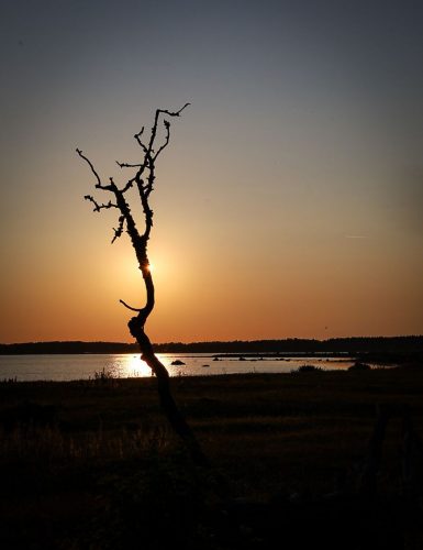 Naturschutzgebiet Närsholmen