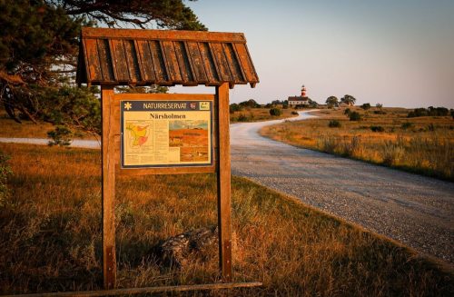 Ausflug am Abend: Naturschutzgebiet Närsholmen
