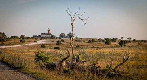 Naturschutzgebiet Närsholmen - karge, schroffe Landschaft