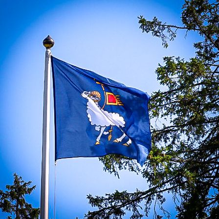 Fahne/Wappen Gotlands