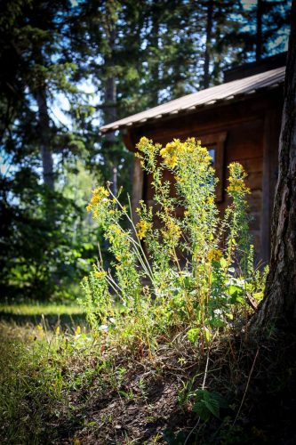 Freilichtlichtmuseum Lojsta