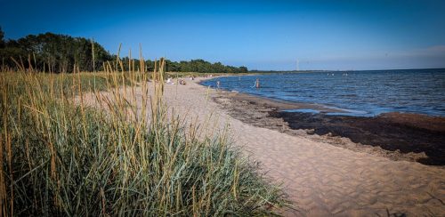 Strand Hörte