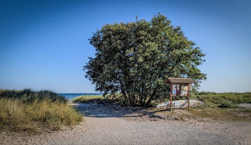 Strand Hörte