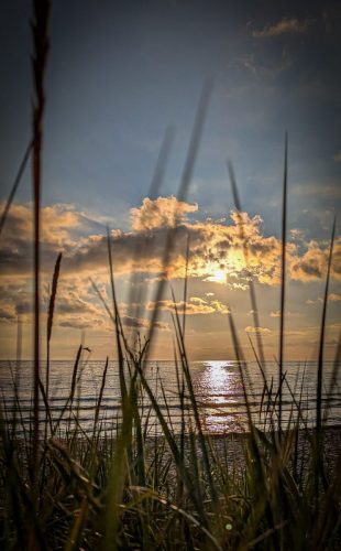 Zwischenstopp am Tofta Strand zur Goldenen Stunde