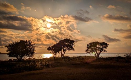 Nächster Halt: Parkplatz Karlsöarna - savannenartige Szenerie am Strand