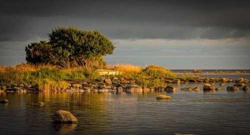 Im goldenen Licht wirkt die Ostseebucht so malerisch