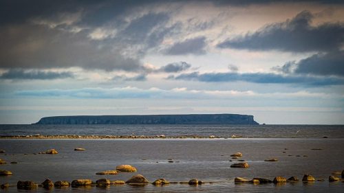 Lilla Karlsö - die kleinere Schwesterinsel lässt sich vom Ufer aus besser sehen