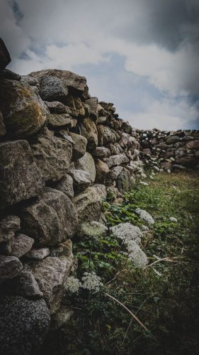 Gotland ist steinreich - Im Süden der Insel umgeben Steinmauern die Weiden