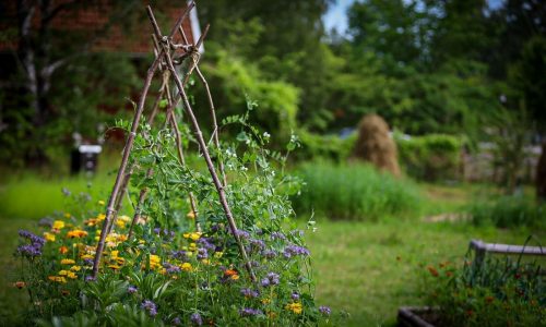 Auch einen Bauerngarten gibt es