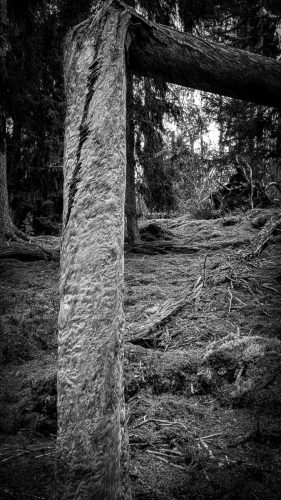 Wanderung durch den Norra Kvill Nationalpark