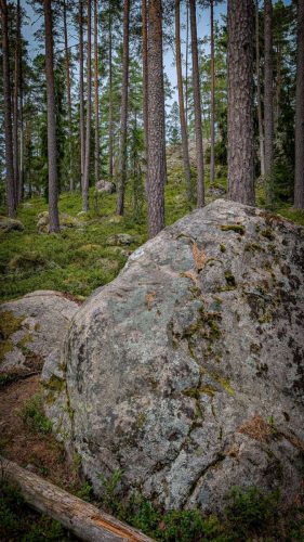 Wanderung durch den Norra Kvill Nationalpark