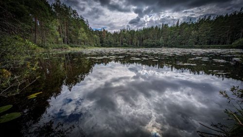 Wanderung durch den Norra Kvill Nationalpark - See Lilla Idgölen 