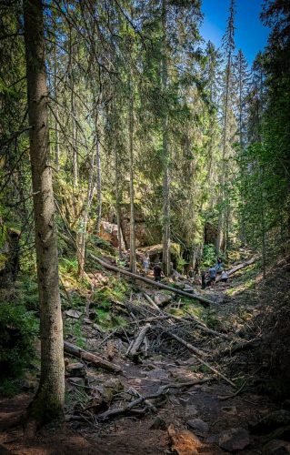 Wie im Wimmelbild - Wo ist der Weg?