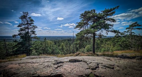 Großartiger Ausblick auf Smalands Wälder...