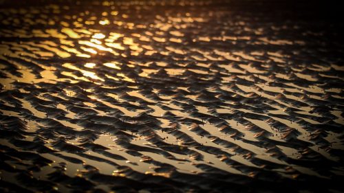 Sonnenspiele
