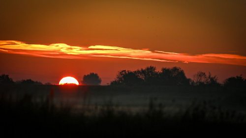 Sunrise