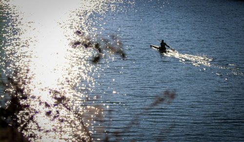 Neue Nutzung des Hafens